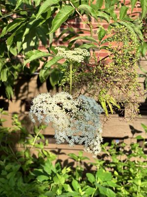 Nature Discovery Center