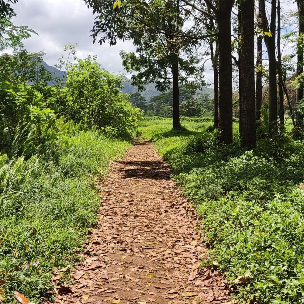 Stone Dam - Trail - Parks Near Me Stone Dam - Trail - Parks Near Me