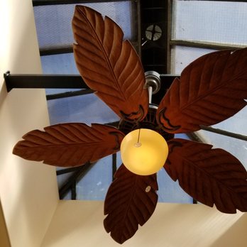 Waterstone Spa - Fan in the solarium room - Massage Near Me - Ashland, Oregon Waterstone Spa - Fan in the solarium room - Massage Near Me - Ashland, Oregon
