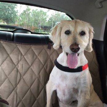 Estero Animal Hospital - Veterinarians Near Me - Estero, Florida