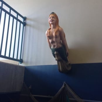 ABQ BioPark Aquarium - Mermaids, man. Not what I expected. - Aquariums Near Me - Albuquerque, New Mexico