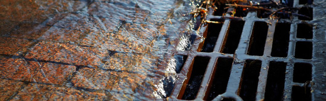 Slide of A Rooter King