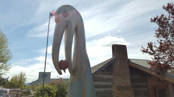 The Orcas Island Historical Museum by null