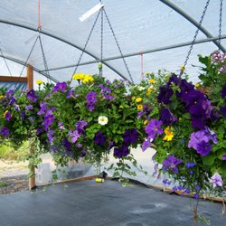 Country Garden Nursery