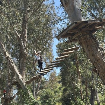 Catalina Aerial Adventure - Challenge Courses Near Me - Avalon, California