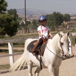 Kelly Meyer Performance Horses - Happy horses, happy kiddos.