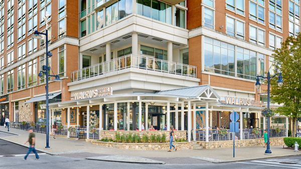 The Walrus Oyster & Ale House by null