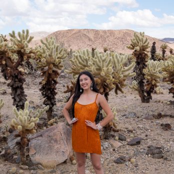 Cholla Cactus Garden - Hiking Near Me - Eagle Mountain, California