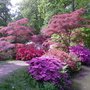 Photo of Exbury Gardens Beaulieu
