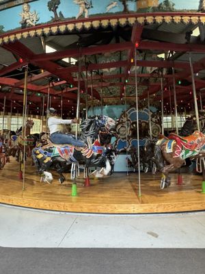 Central Park Carousel by null