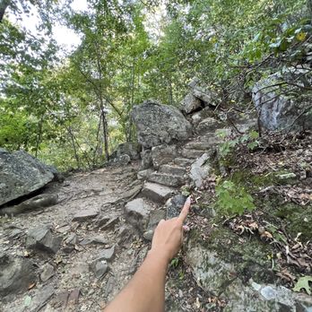 Glen Falls Trail - Make that quick left up the stairs. - Hiking Near Me - Chattanooga, Tennessee