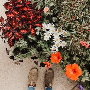 Flowerland - Greenhouse - Nurseries & Gardening Near Me - Kentwood, Michigan