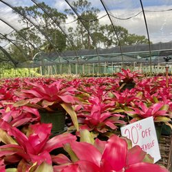 Bonita Bromeliads