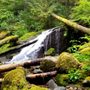 Photo of Siouxon Creek Trail