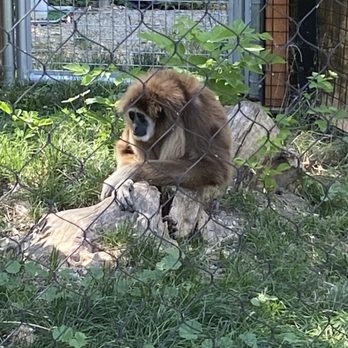 Zoo Boise - Zoos Near Me - Boise, Idaho