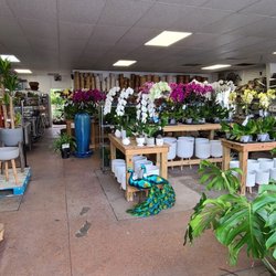 Towns' Garden Center