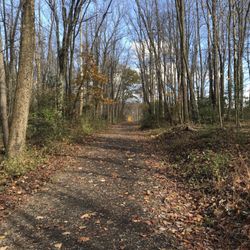 White Park - Hiking trails