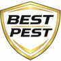 Photo of Best Pest