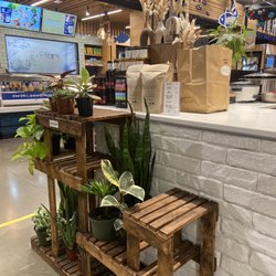 Humble Roots Organic - How do these plants stay alive??