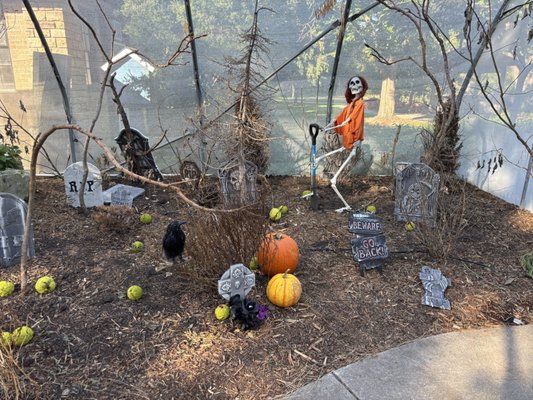 Botanica, The Wichita Gardens by null