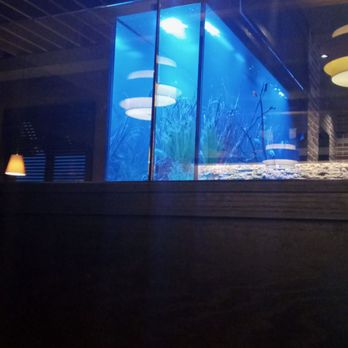 Cheddar's Scratch Kitchen - Big beautiful fish tank - Comfort Food Near Me - Kissimmee, Florida