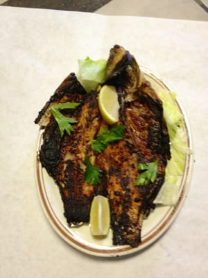 Sheeba Restaurant Hamtramck by null