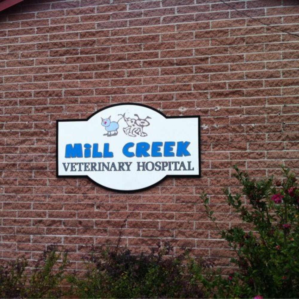 Mill Creek Veterinary Hospital - Veterinarians Near Me - Clarkesville, Georgia Mill Creek Veterinary Hospital - Veterinarians Near Me - Clarkesville, Georgia
