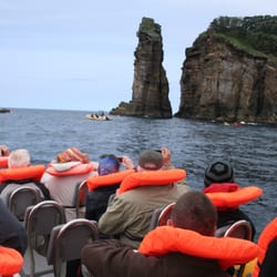Azores Whale Watching TERRA AZUL