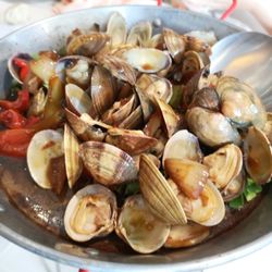Homarus