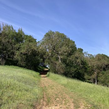 Calero County Park - Some shade here & there thanks to the trees! - Parks Near Me - San Jose, California Calero County Park - Some shade here & there thanks to the trees! - Parks Near Me - San Jose, California