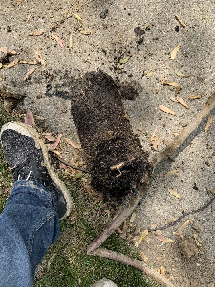 Slide of Devine Sewer And Drain Services