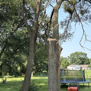 Liberty Tree Service - "After" #1 - Tree Services Near Me - New Lenox, Illinois