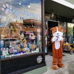 Dog-Mania & Cats