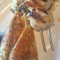 Flounder