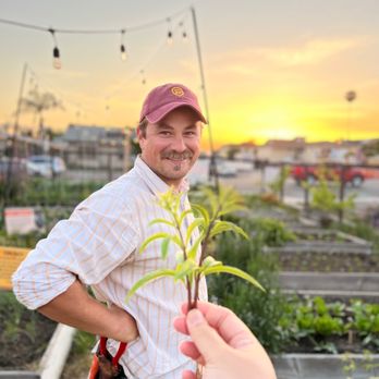 MAKE Cafe - Breakfast & Brunch Near Me - San Diego, California