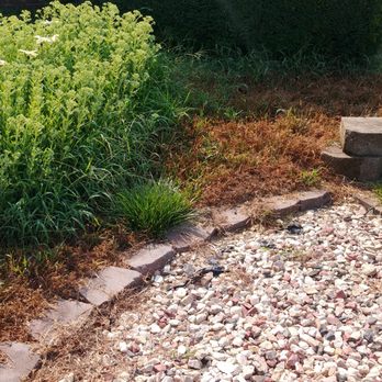 Premier Lawn Care Landscaping 2425 Woodie Proctor Rd W Columbia Mo Phone Number