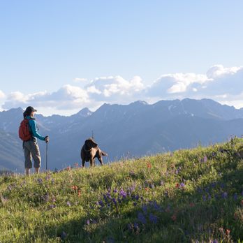 Mark Gordon Vail Real Estate - Summer Hike - Real Estate Agents Near Me - Vail, Colorado Mark Gordon Vail Real Estate - Summer Hike - Real Estate Agents Near Me - Vail, Colorado