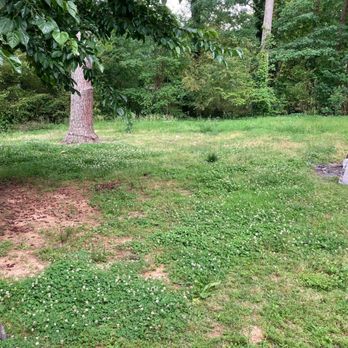 Morales Landscape Group & Tree Service - Poorly maintained lawn - Tree Services Near Me Morales Landscape Group & Tree Service - Poorly maintained lawn - Tree Services Near Me