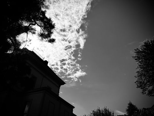 Flavel House Museum by null