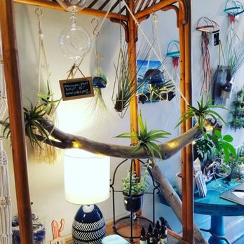 Grow NNK - Driftwood hangers and much more - Flowers & Gifts Near Me - Kilmarnock, Virginia Grow NNK - Driftwood hangers and much more - Flowers & Gifts Near Me - Kilmarnock, Virginia
