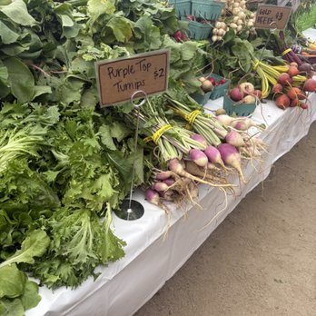 Alma Backyard Farm - Farmers Market Near Me - Compton, California Alma Backyard Farm - Farmers Market Near Me - Compton, California