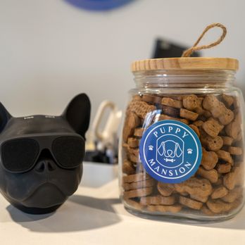Puppy Mansion - Puppy Mansion Treats - Pet Groomers Near Me - Miami, Florida Puppy Mansion - Puppy Mansion Treats - Pet Groomers Near Me - Miami, Florida
