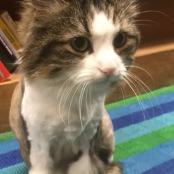 user provided Hyde Brothers Booksellers photo