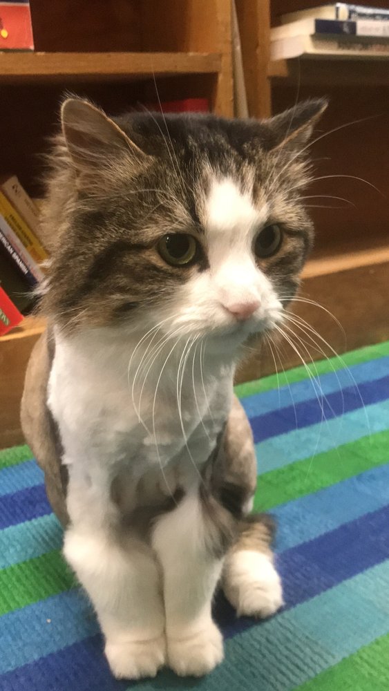 Hyde Brothers Booksellers