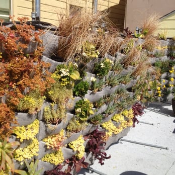 Joyous Spaces - Thank you Joy! - Gardeners Near Me Joyous Spaces - Thank you Joy! - Gardeners Near Me