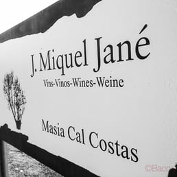 Bodega Miquel Jané - Wineries Near Me - Fontrubí, B