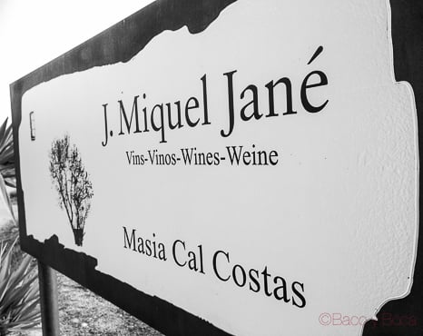 Bodega Miquel Jané - Wineries Near Me - Fontrubí, B Bodega Miquel Jané - Wineries Near Me - Fontrubí, B