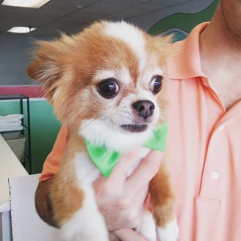 Lucky Dog Self Wash And Spa Pet Groomers 1559 Florence Blvd Florence Al Phone Number