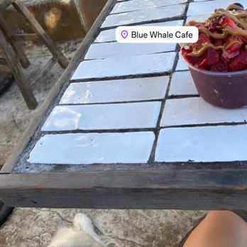 Blue Whale - Cafes Near Me - La Jolla, California