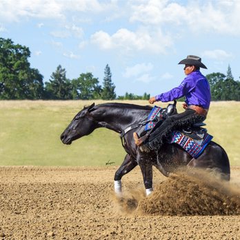 Jill Wagner Photography - Equine photo sessions and horses events - Event Photography Near Me